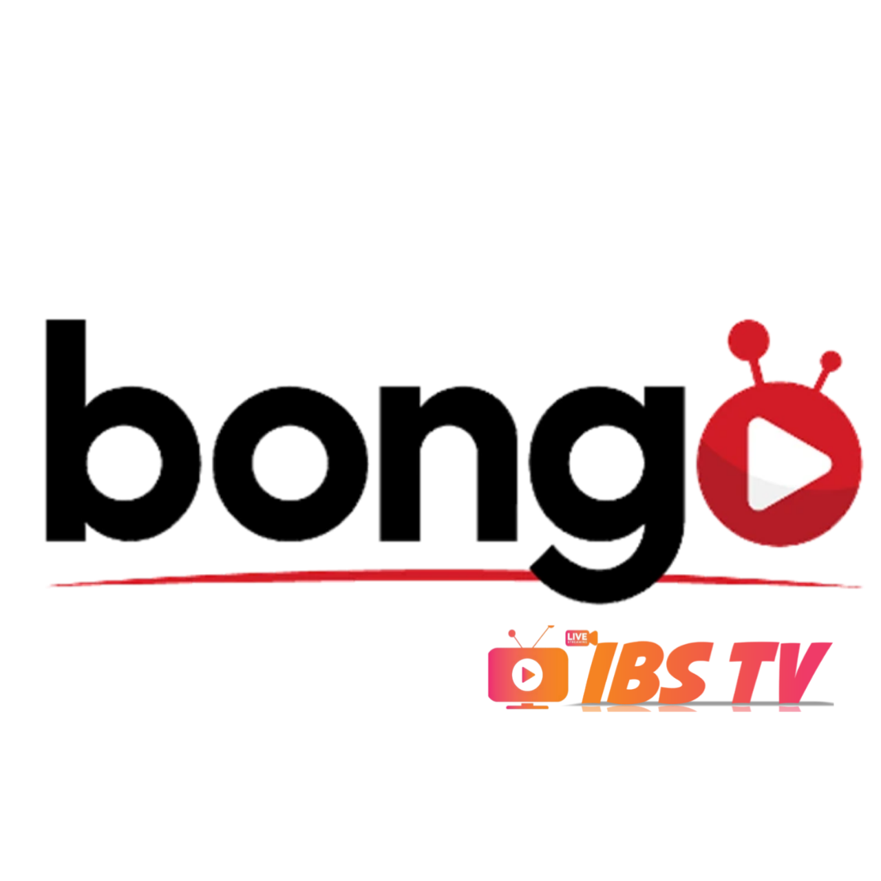 Bongo